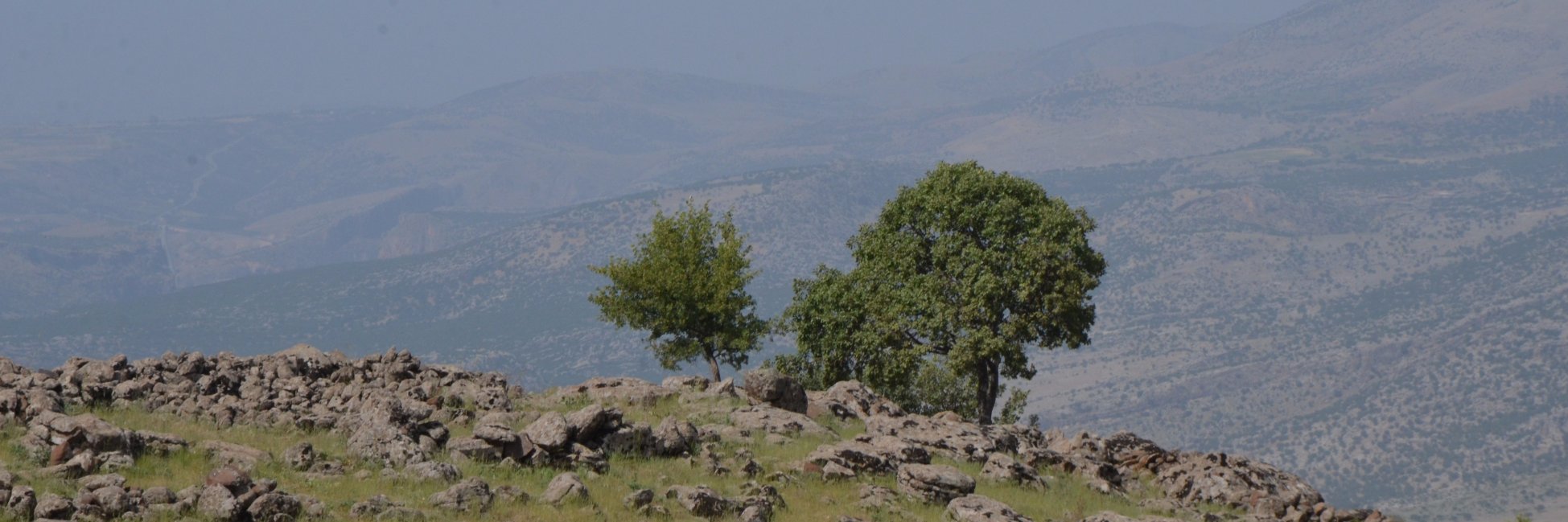 Haberim Yok banner