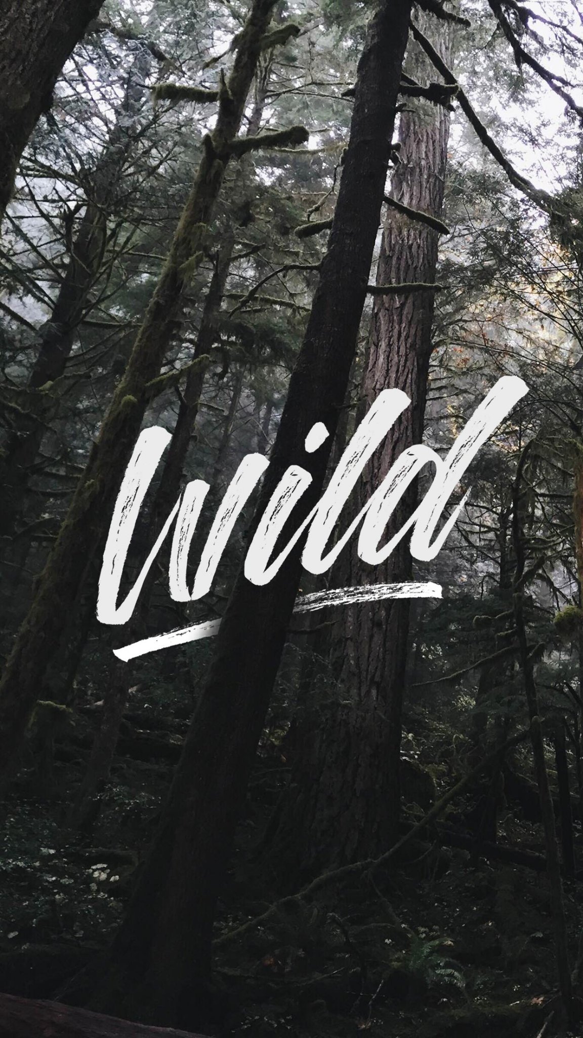 Egi Prasetya Nugraha banner