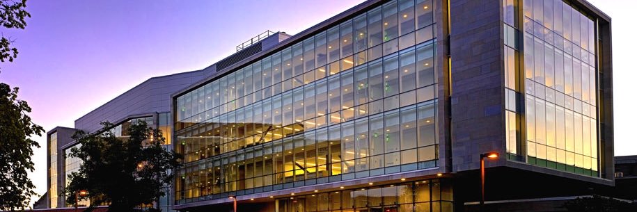 MSU Romance & Classical Studies banner