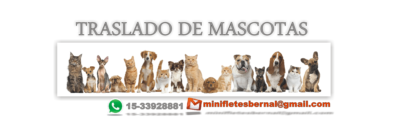minifletsbernal's profile banner image