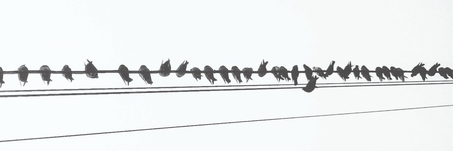 so_mark's profile banner image