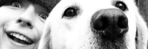 kateholbrook1's profile banner image