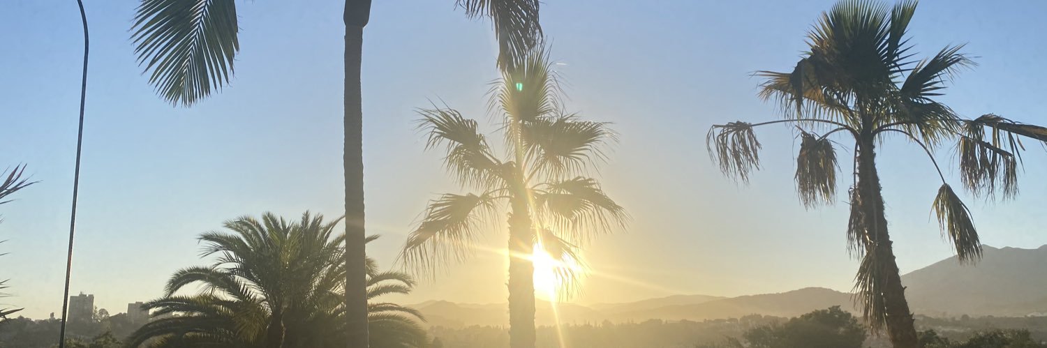 MorganSach's profile banner image