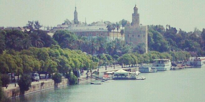 Juan José Cruz banner