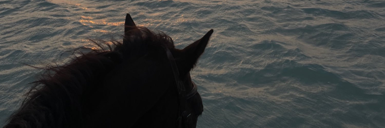 Bthna10's profile banner image