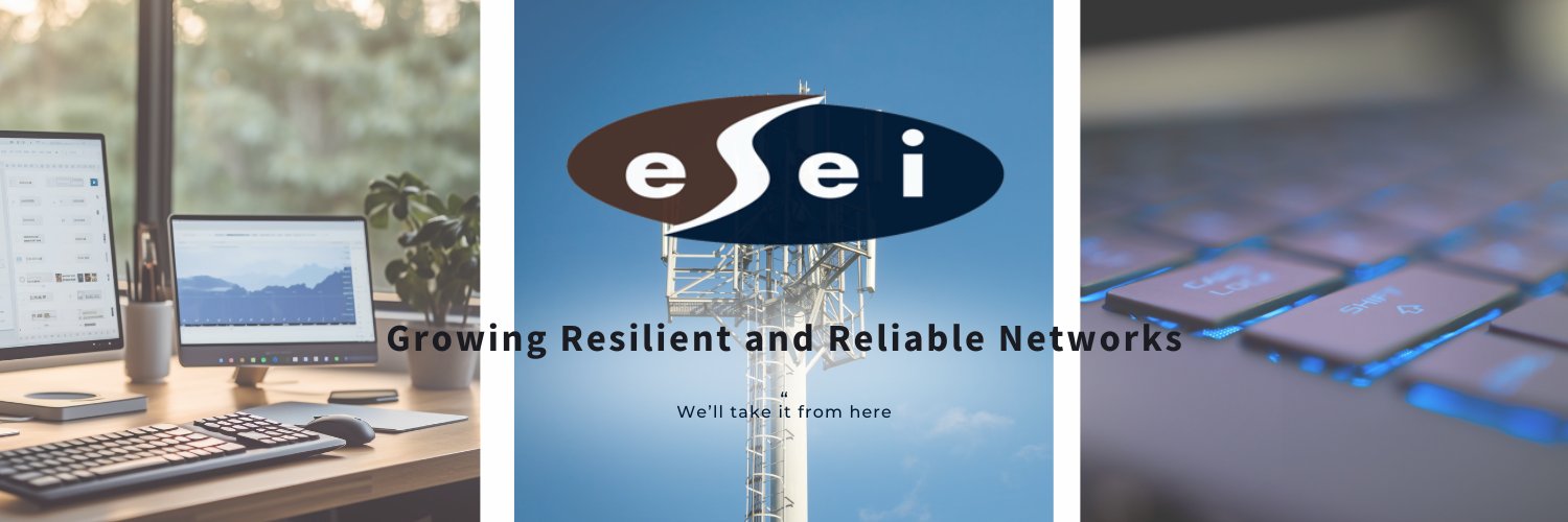 eseisolutions's profile banner image