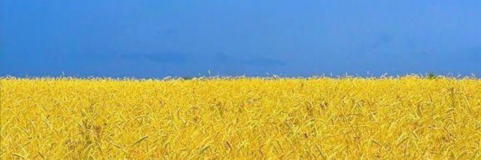 NachoGasss's profile banner image