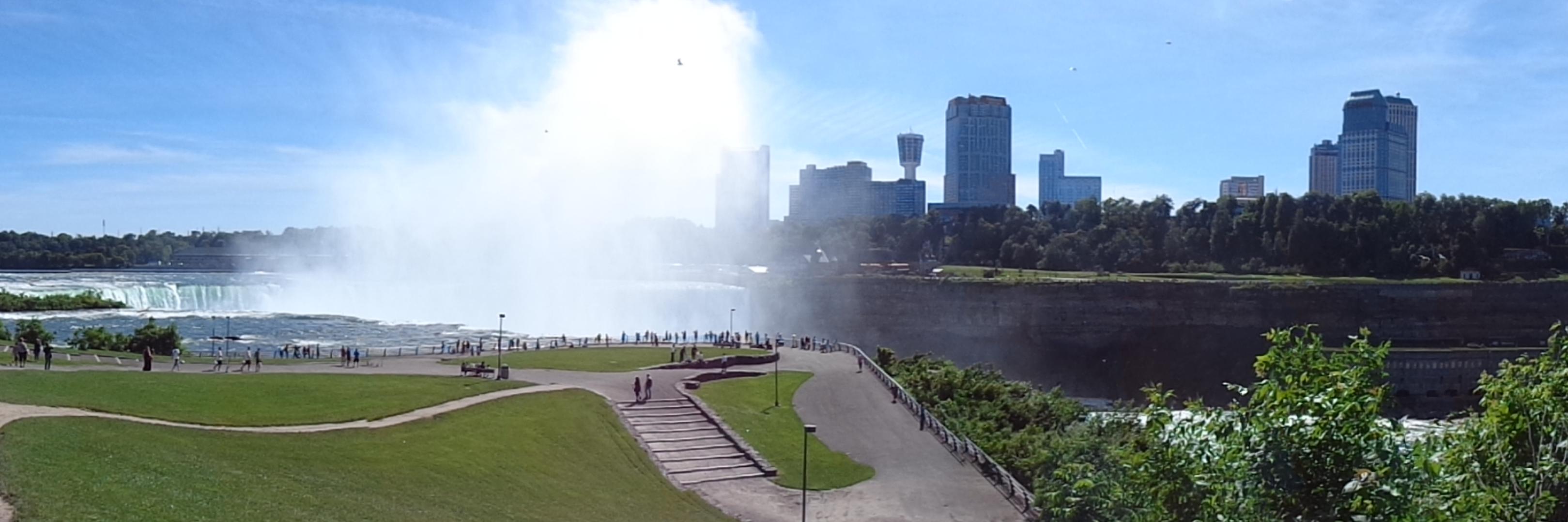 Giulia Pelliccia banner