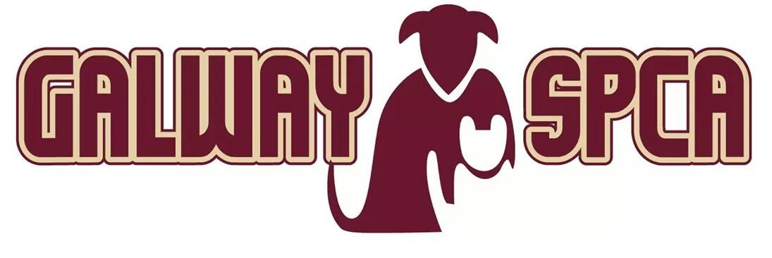 Galway SPCA's banner