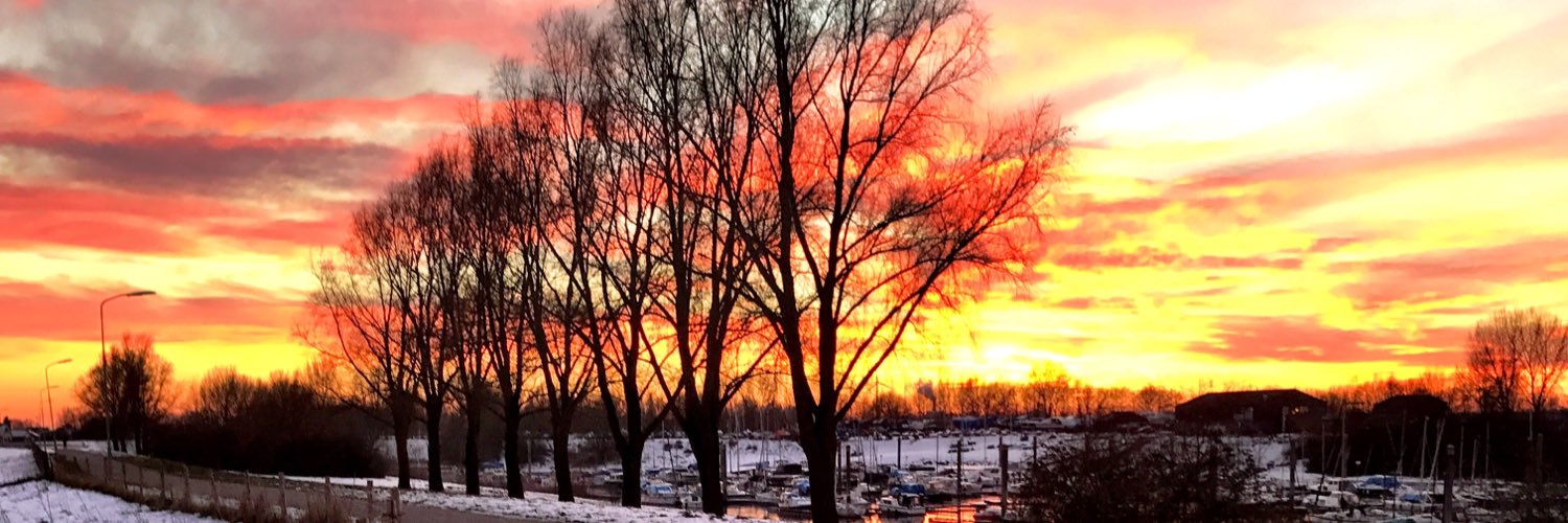 CarolaMvdb's profile banner image