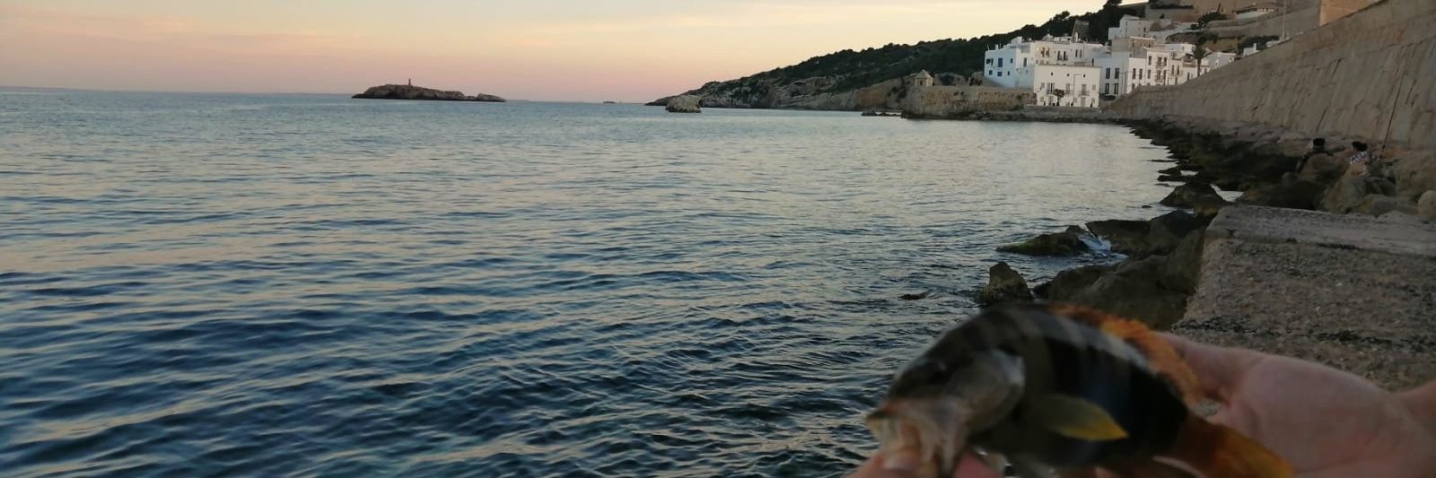 sergibiris2011's profile banner image