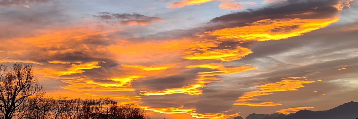 Monica Vittone banner