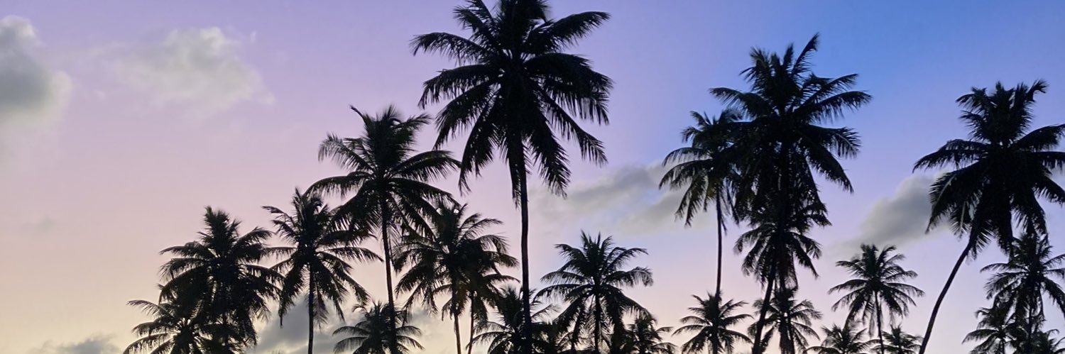 bellabritor's profile banner image