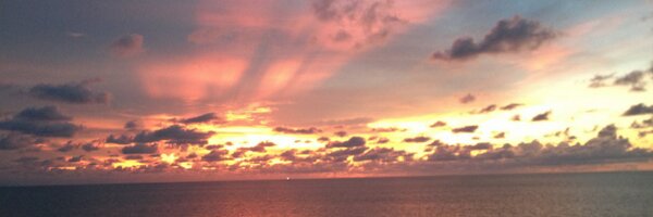 Mags2708 Profile Banner