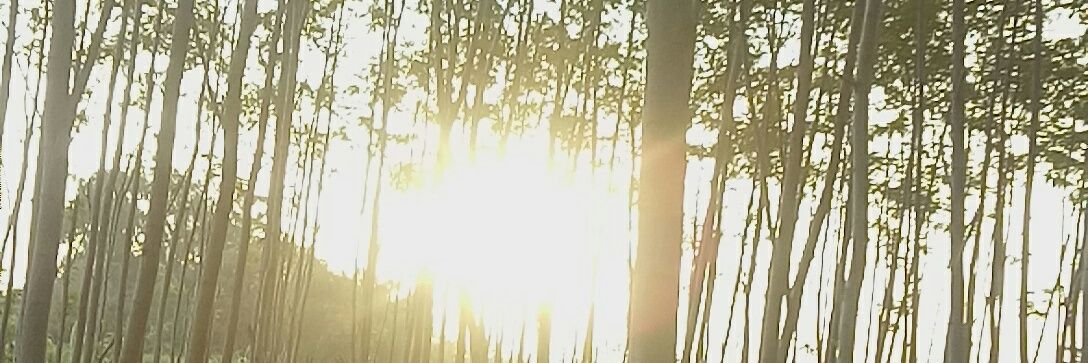 anishinta7787's profile banner image