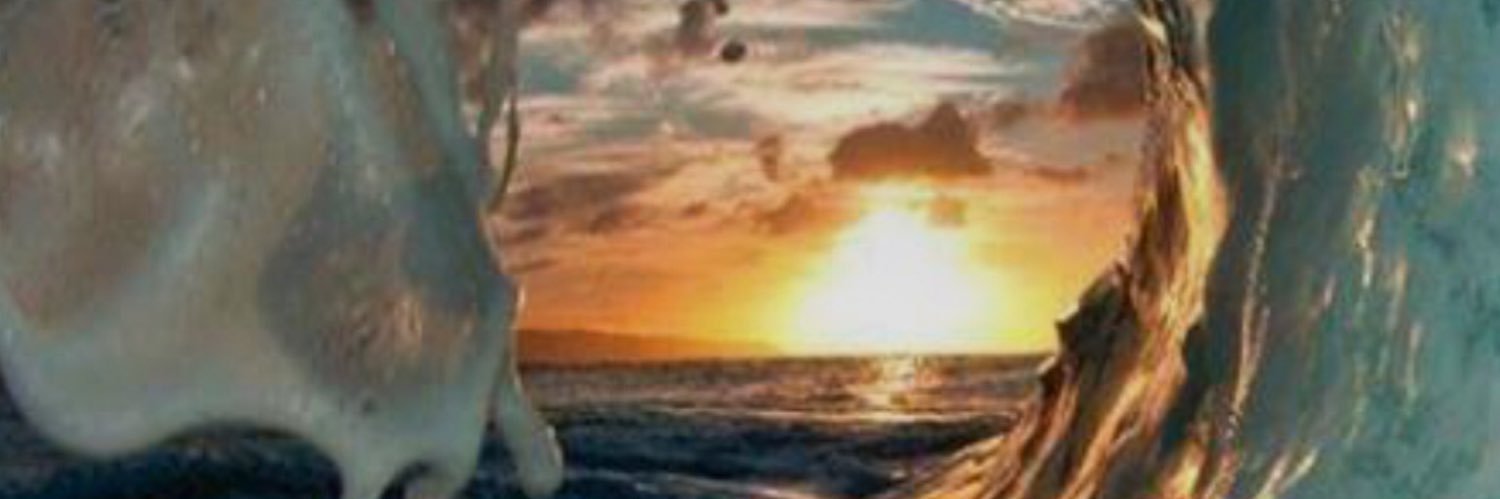 hpovos's profile banner image