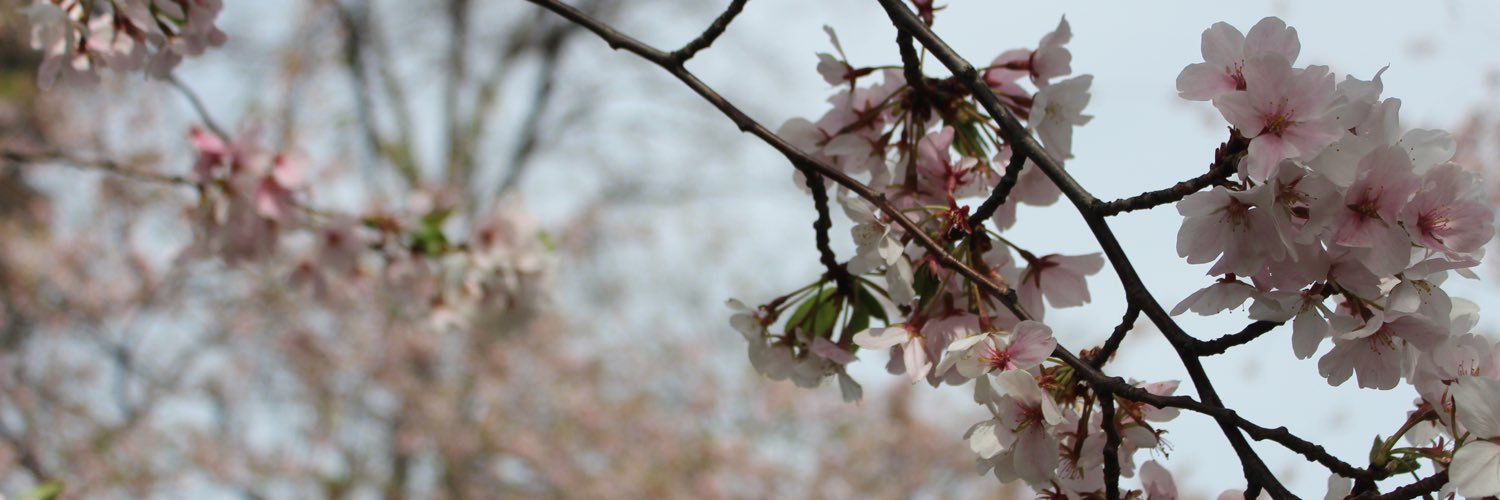 ZenahAlhazmi's profile banner image