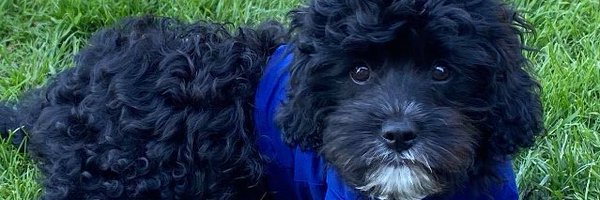 nomorecutz Profile Banner