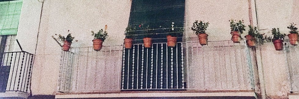 ainoooola's profile banner image