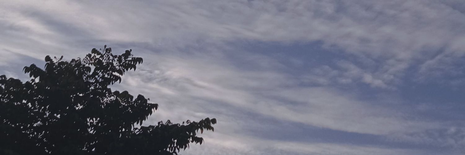 adekbyeon's profile banner image