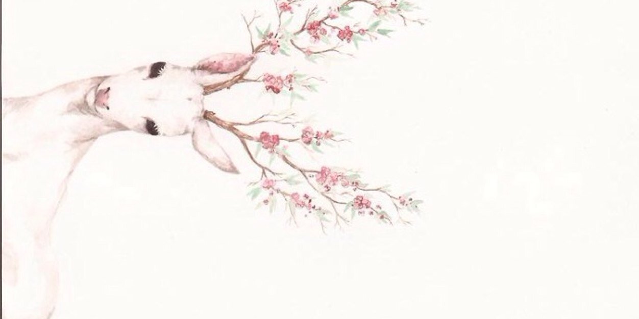__Fara7's profile banner image
