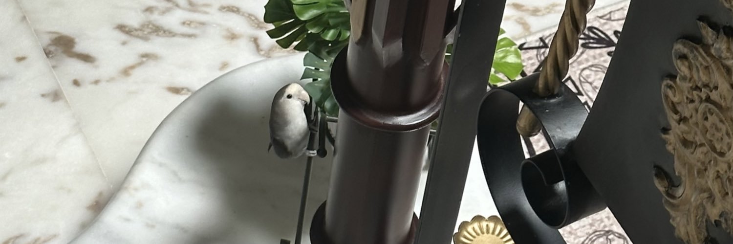FAISAL🦚 banner