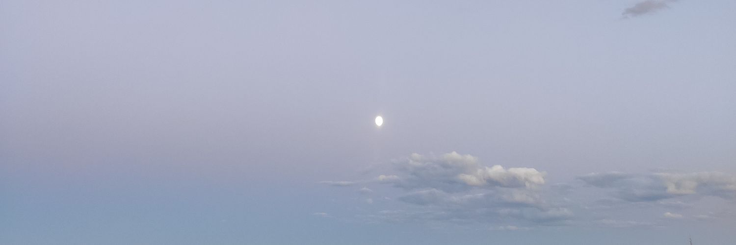 saraurdi's profile banner image