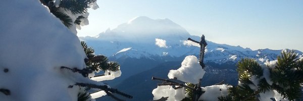 mistademo Profile Banner