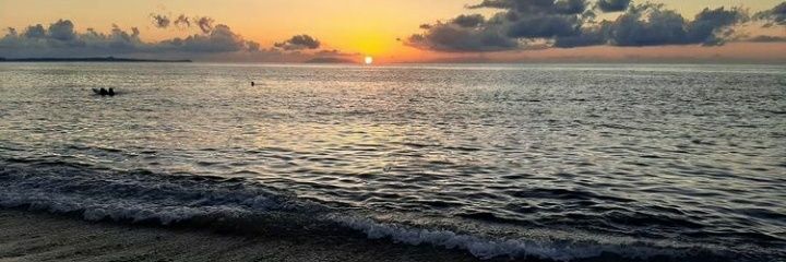 AntoYellow46's profile banner image
