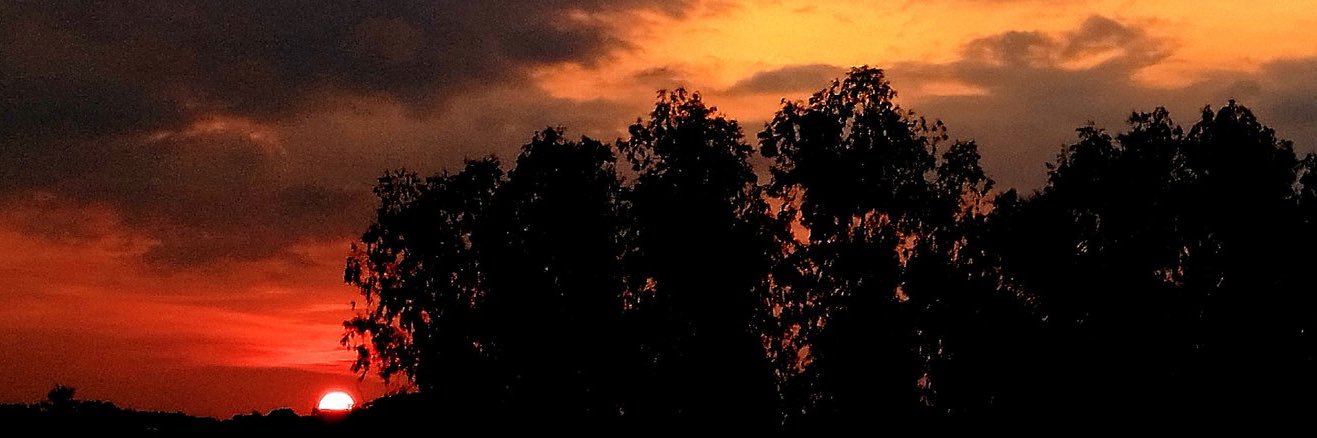 welty ✨ banner