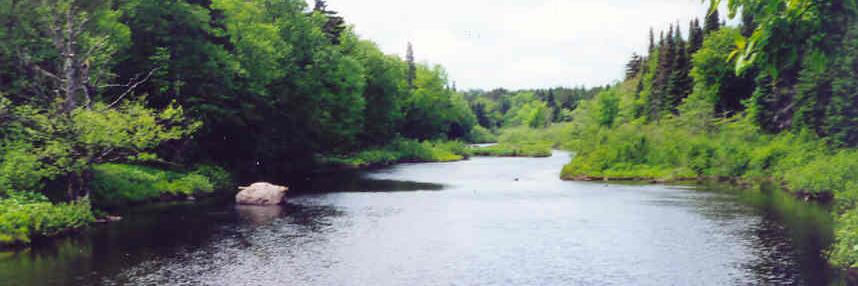 Tug Hill Tomorrow Land Trust banner