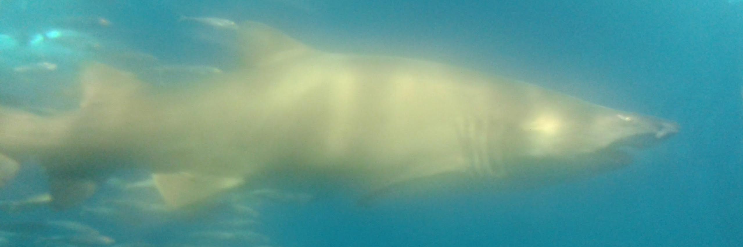 meteocadiz's profile banner image