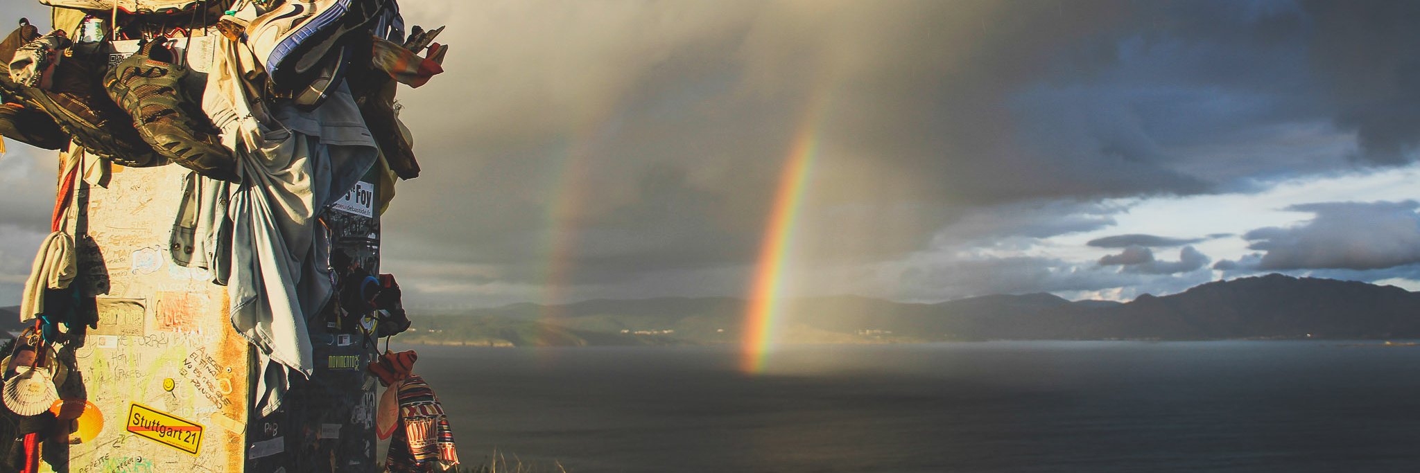 psignori's profile banner image