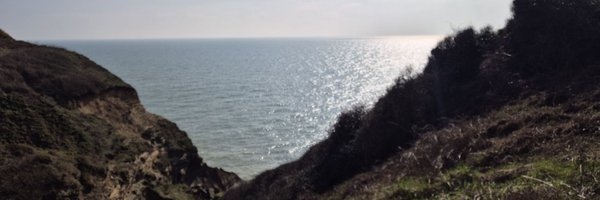 Paultuohy Profile Banner