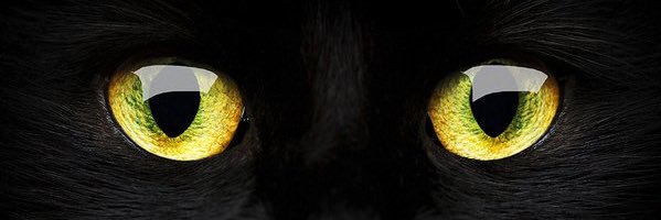 master_denman's profile banner image