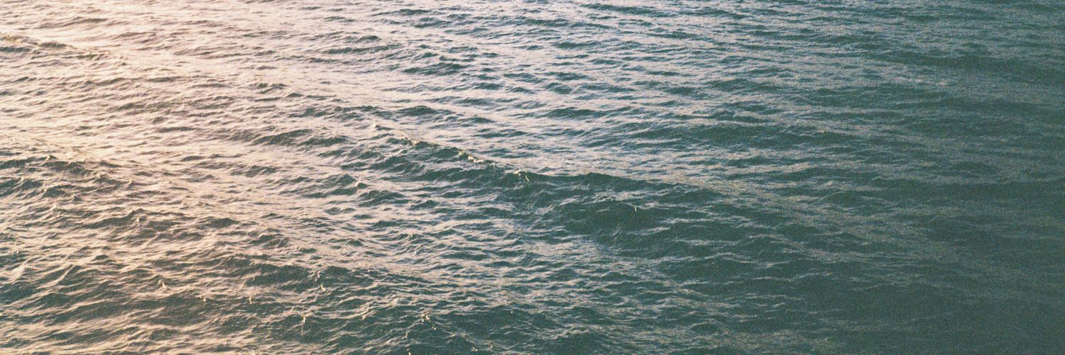 sarah___ec's profile banner image