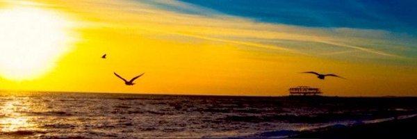 ShineyShadow Profile Banner