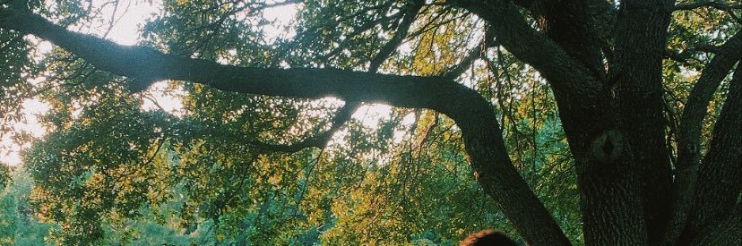 DashieII's profile banner image
