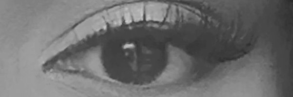 LEE_FLAV Profile Banner