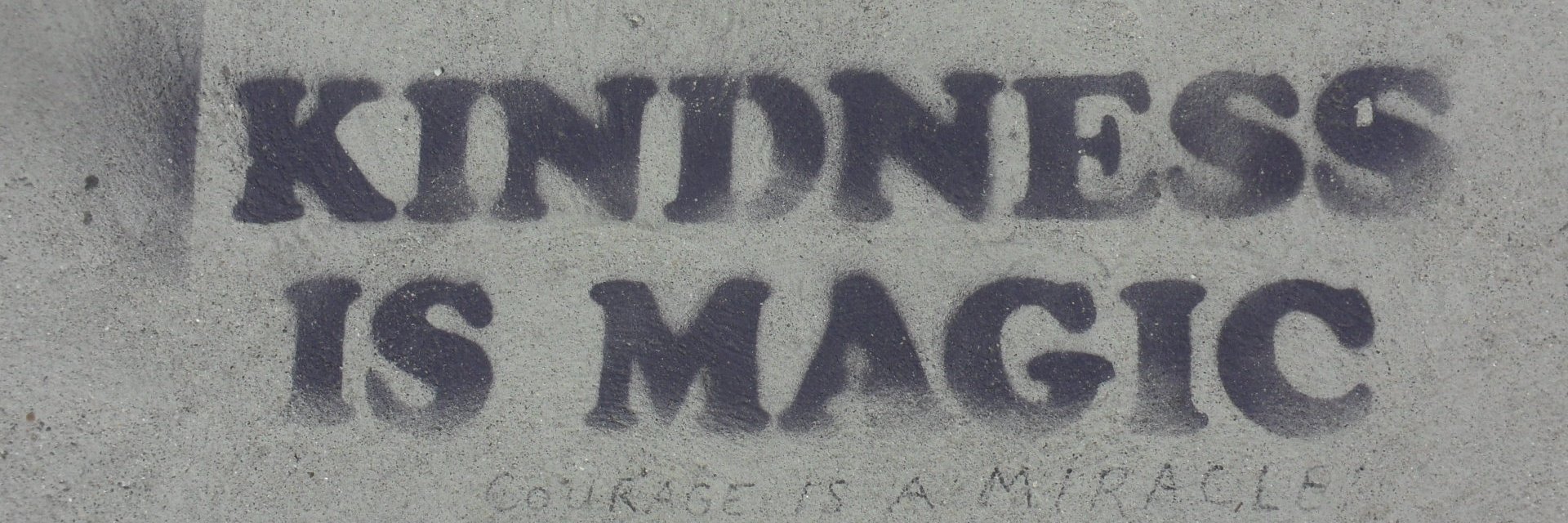 Roos Van Acker banner