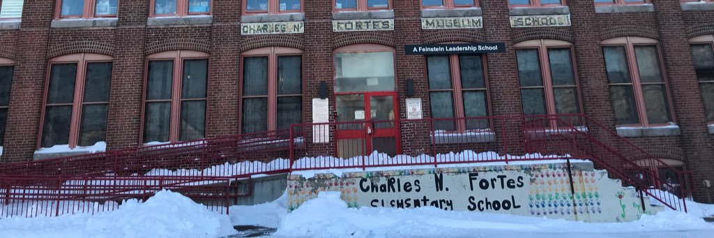 Fortes E.S. PVD banner