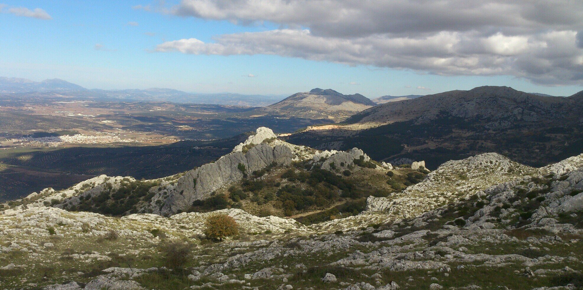 EMILIOJPEDROSA's profile banner image