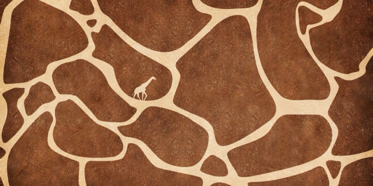 lillegule's profile banner image