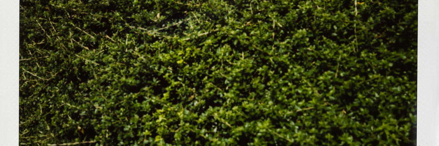 JakeHunte's profile banner image