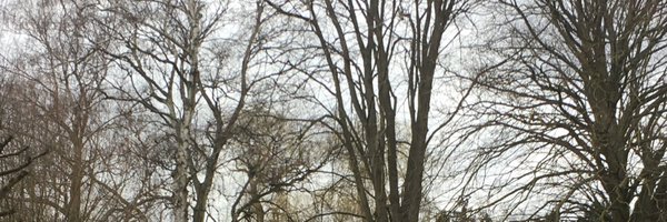 L_B_N_J Profile Banner