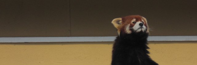gentaso's profile banner image