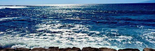 jenny_michelle0 Profile Banner