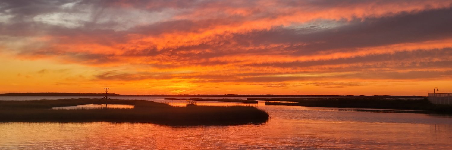 Jennifer Charlton banner