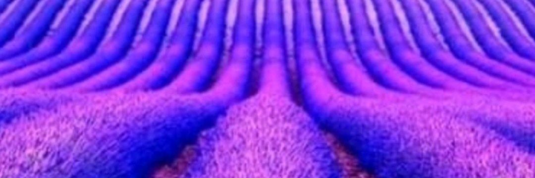 SburgosAbogada's profile banner image
