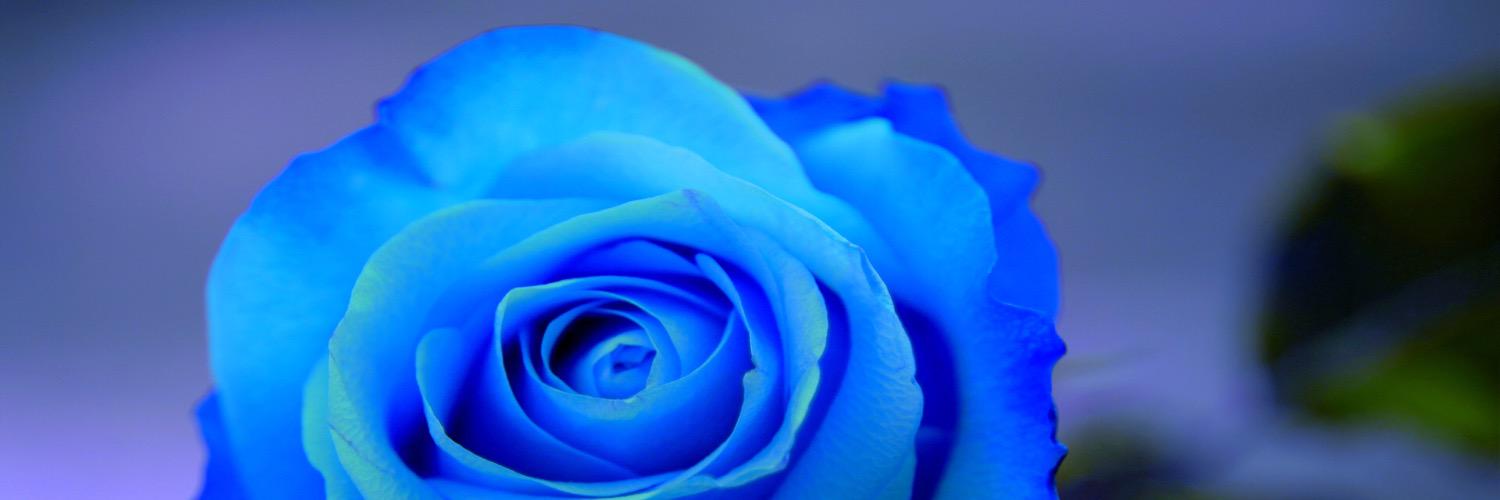Liberty01235's profile banner image